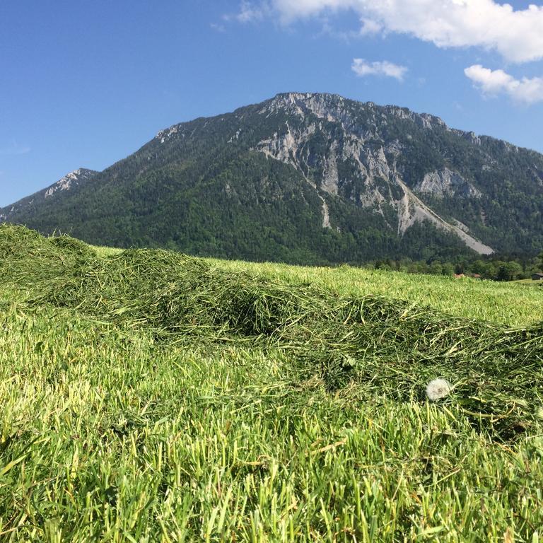 Schifterhof Ruhpolding Vila Exterior foto